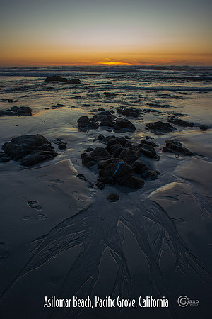 Asilomar Beach copy