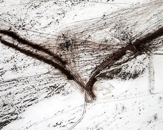 Cattle Trails