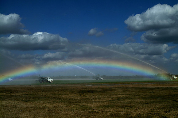 Everglades Rainbow