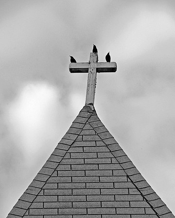Holy Crows