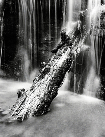Log and River, Grandfather Mountain
