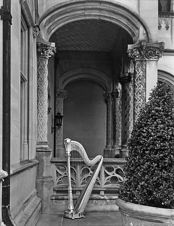 Harp_Biltmore 8x10 contact print