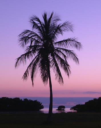 everglades