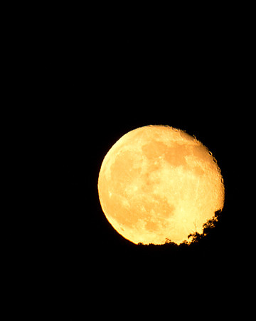 blood moon