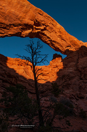 Arches