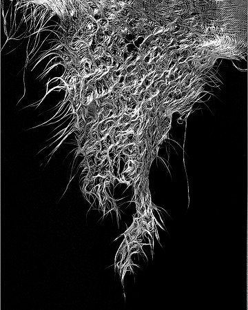 chuck clisso screen photo