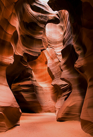 _DSC0834