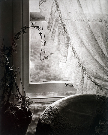 Window_8x10 contact print